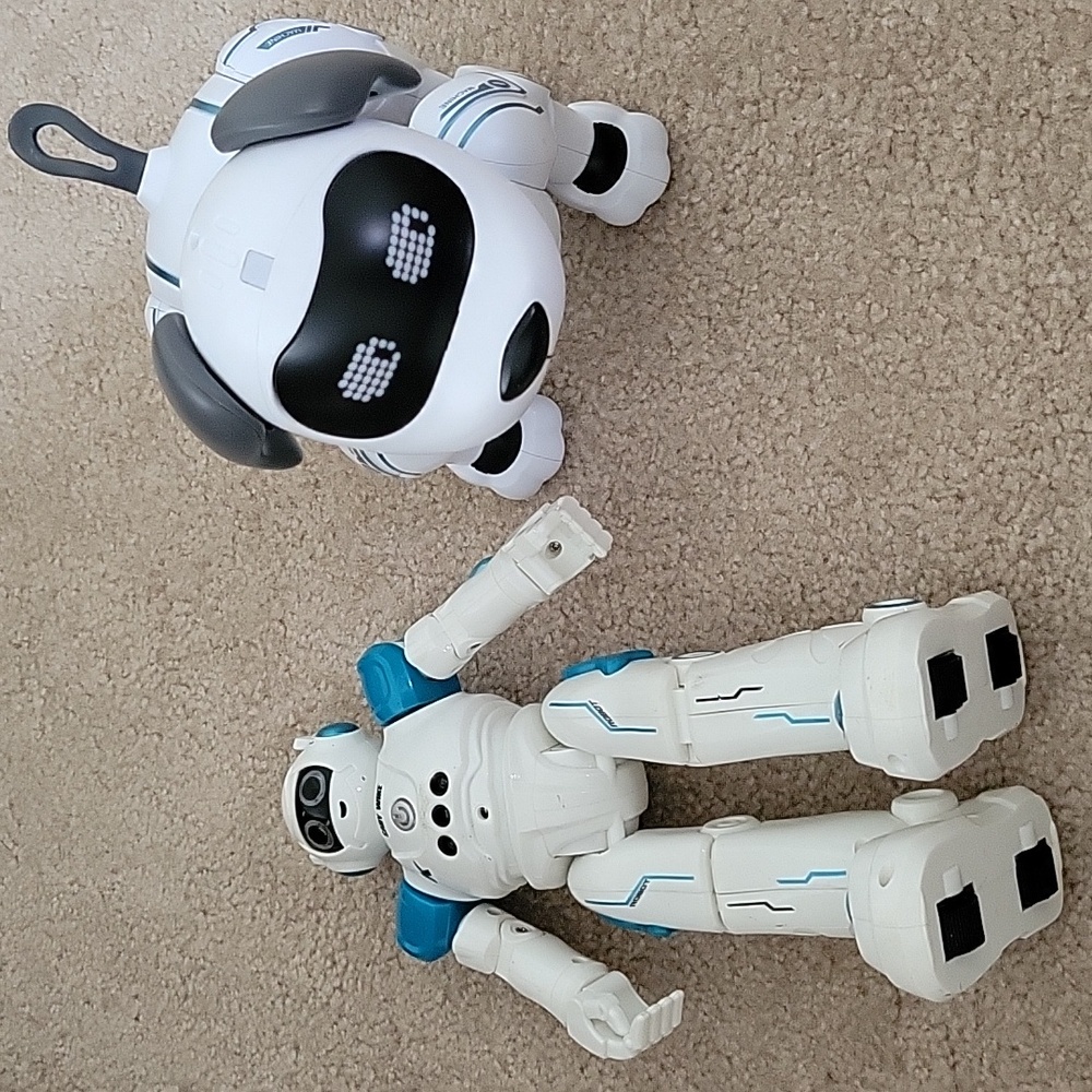 FREE W OTHER PURCHASE! Robot and Robot Dog